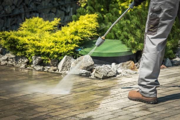Best Animal Enclosure Cleaning  in Hawley, MN