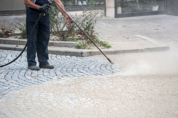 Animal Enclosure Cleaning in Hawley, MN