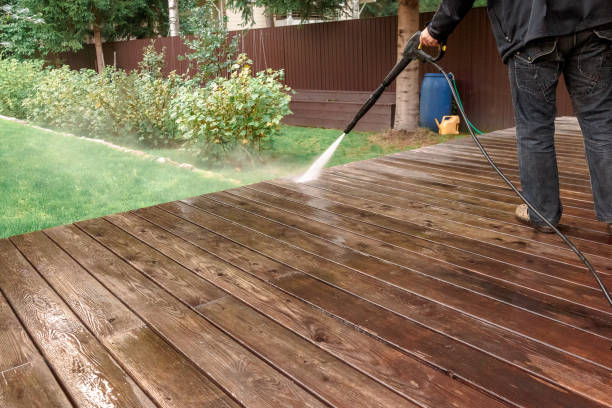 Best Gutter Cleaning  in Hawley, MN